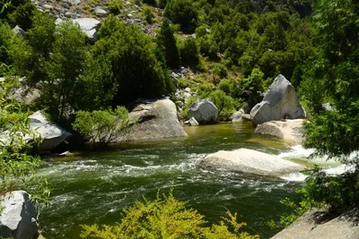 DSC_2267 (Large).JPG